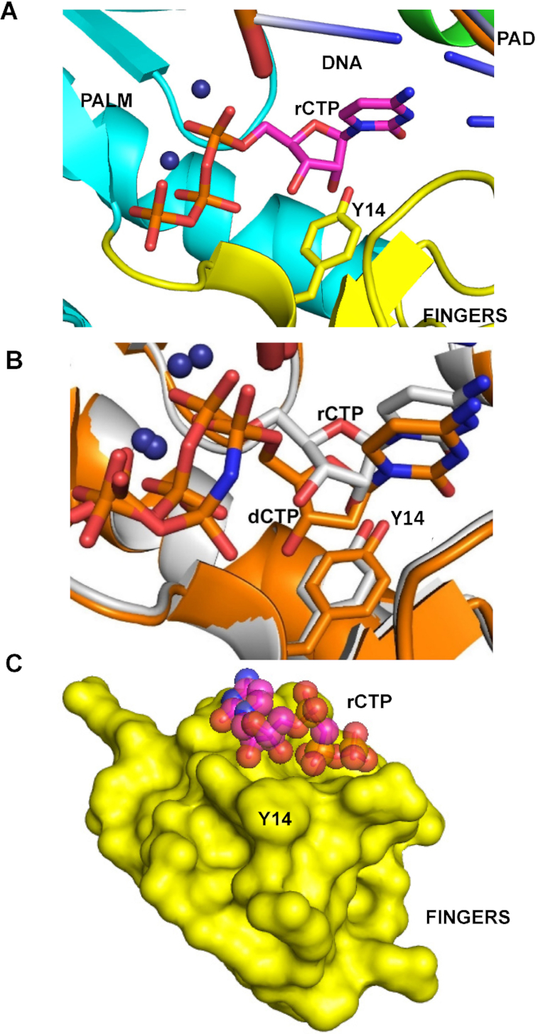 Figure 3.