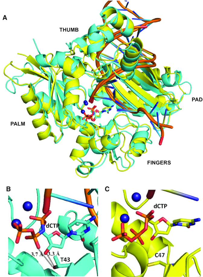 Figure 4.