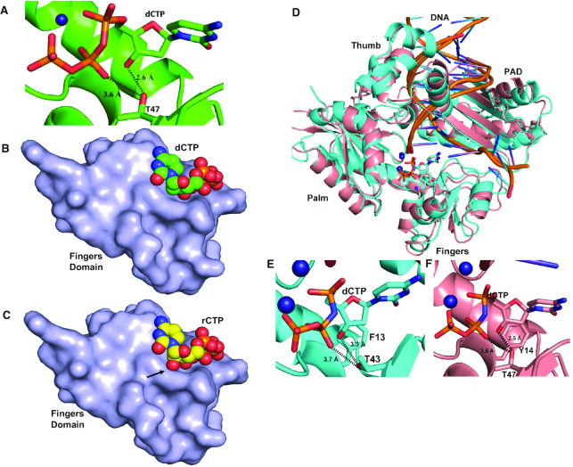 Figure 7.