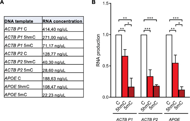 Figure 1—figure supplement 2.