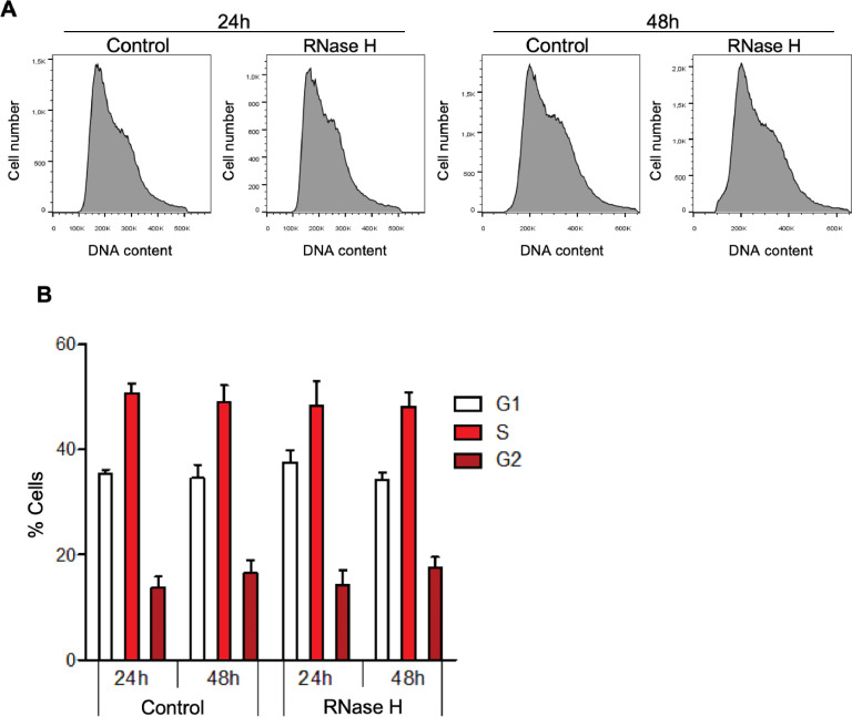 Figure 6—figure supplement 1.