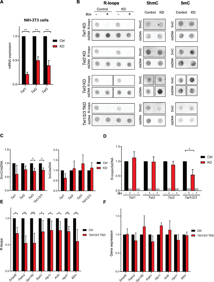 Figure 2—figure supplement 2.