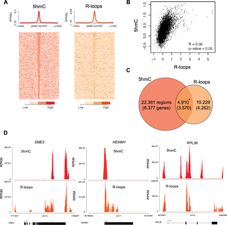 Figure 3—figure supplement 1.