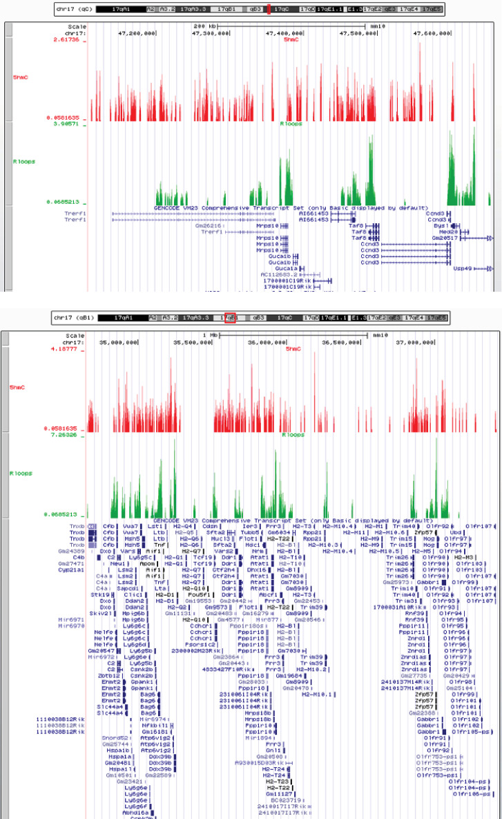 Figure 3—figure supplement 2.