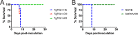 FIG 6