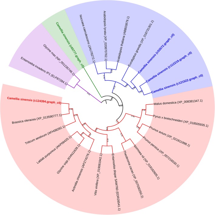 Fig. 13