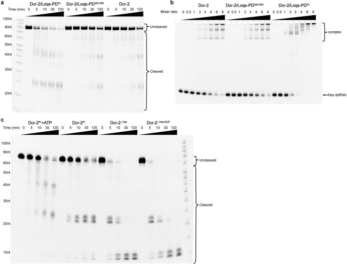 Extended Data Fig. 10