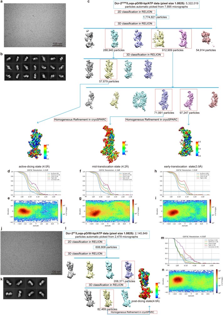 Extended Data Fig. 3