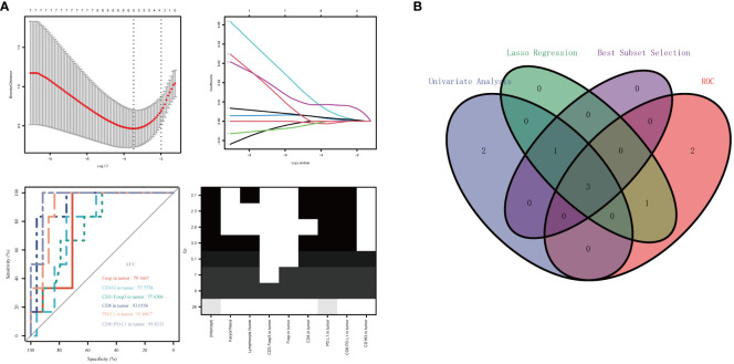 Figure 5