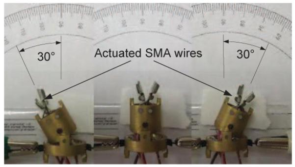 Fig. 11