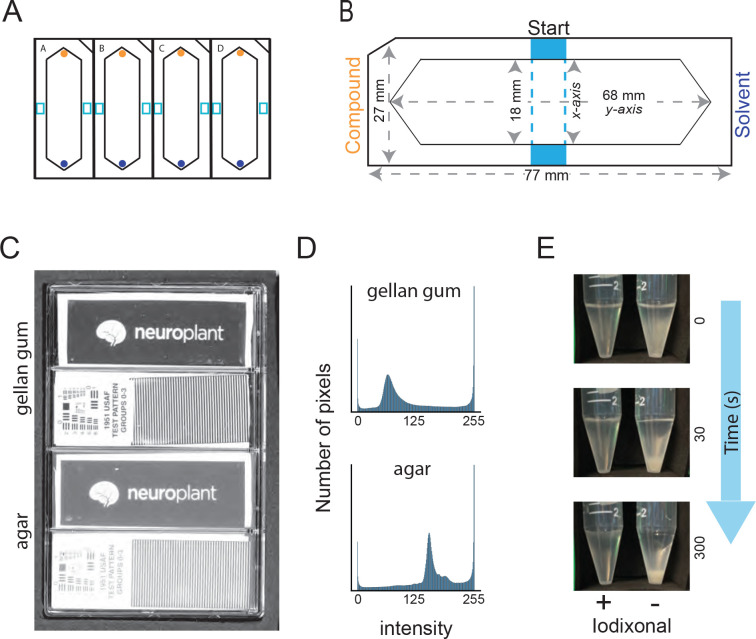 Figure 1: