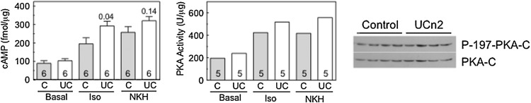 FIG. 5.