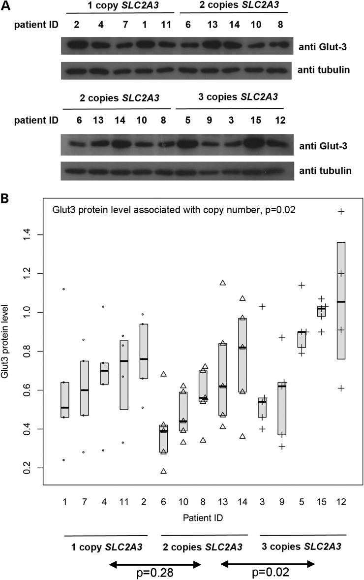 Figure 3.