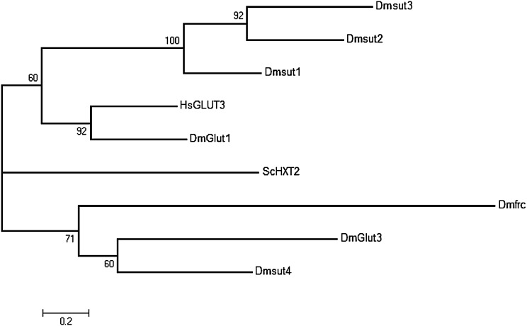 Figure 4.