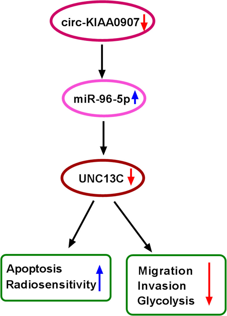 Fig. 9