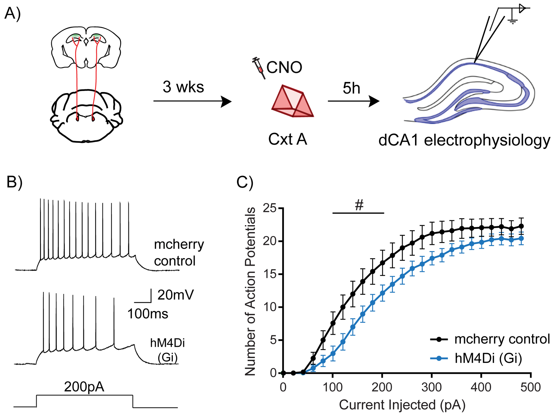 Figure 3: