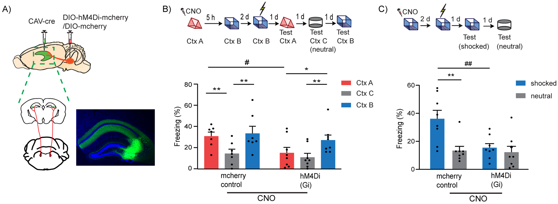 Figure 2: