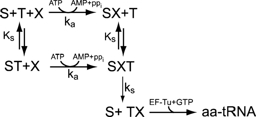 graphic file with name biophysj00051383S01_LW.jpg