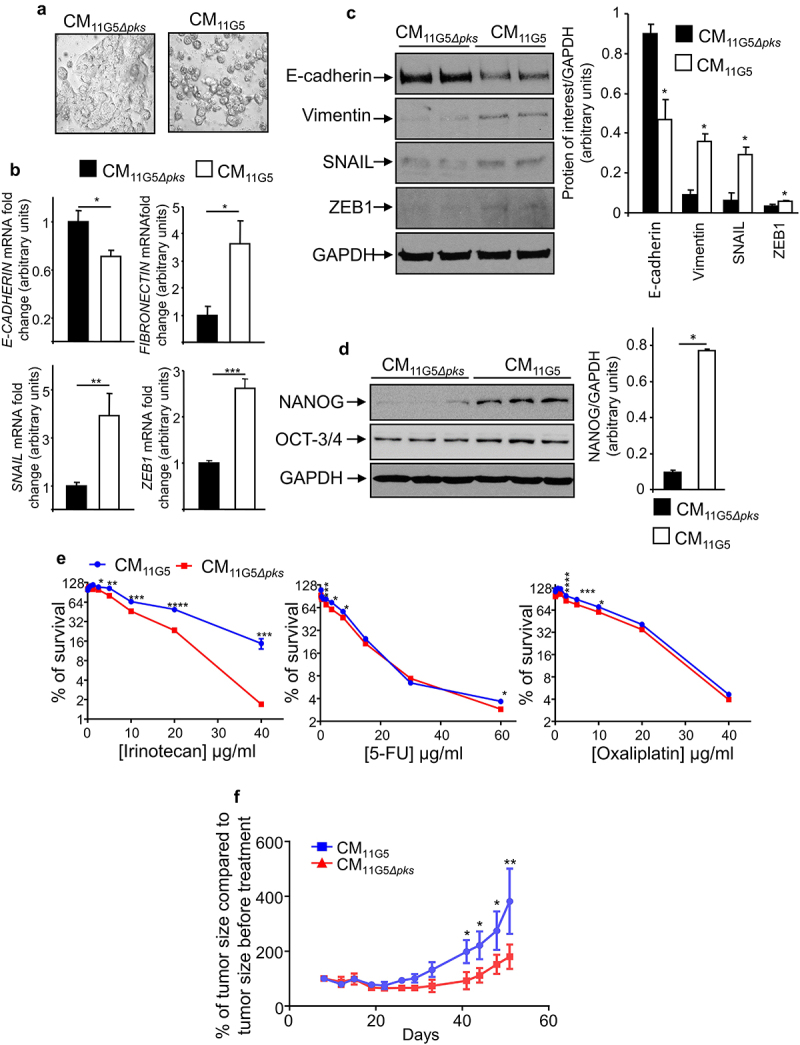 Figure 5.