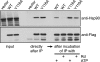 FIG. 7.