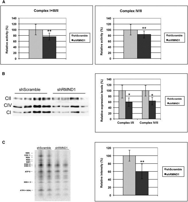 Figure 5