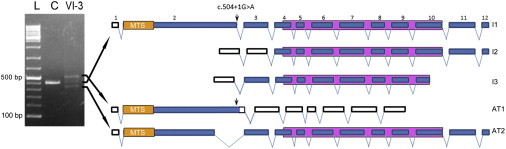 Figure 2