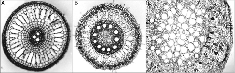 Figure 2.