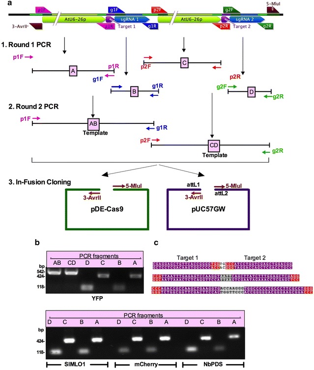 Fig. 3