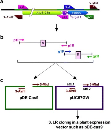 Fig. 2