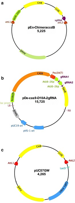 Fig. 1