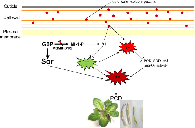 Fig. 6