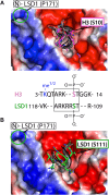 Figure 6