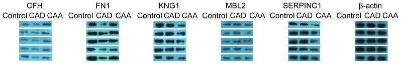 Figure 5.