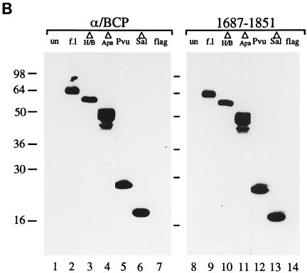FIG. 6