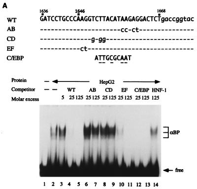 FIG. 9