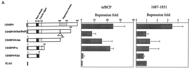 FIG. 6