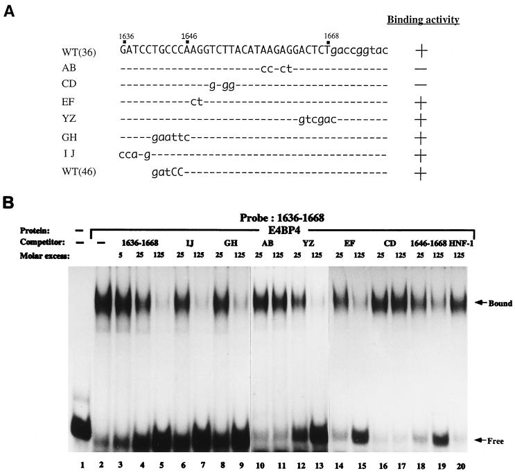 FIG. 1