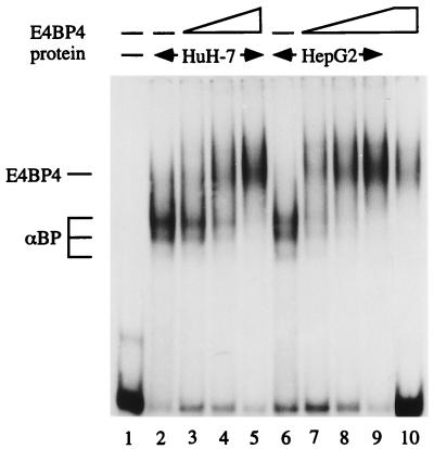 FIG. 10