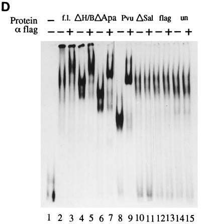FIG. 6
