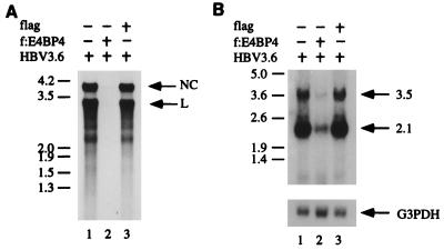 FIG. 5