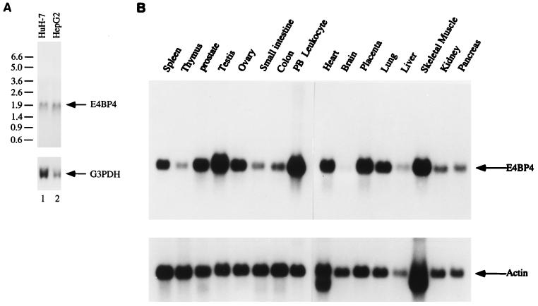 FIG. 7