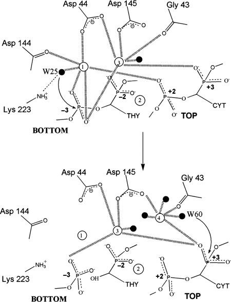 Figure 5.