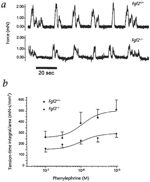 Fig. 2