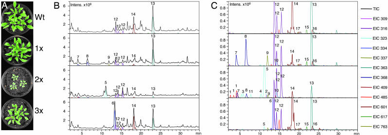 Fig. 2.