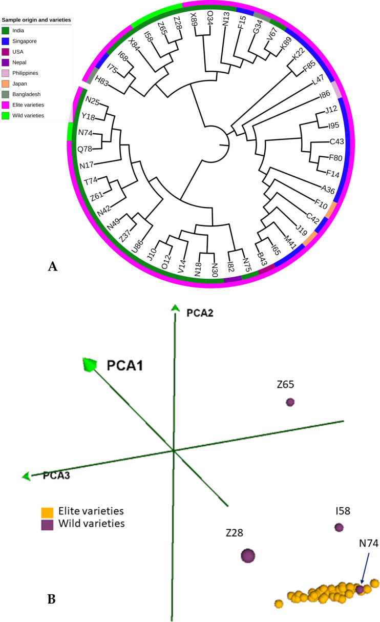 Fig 6