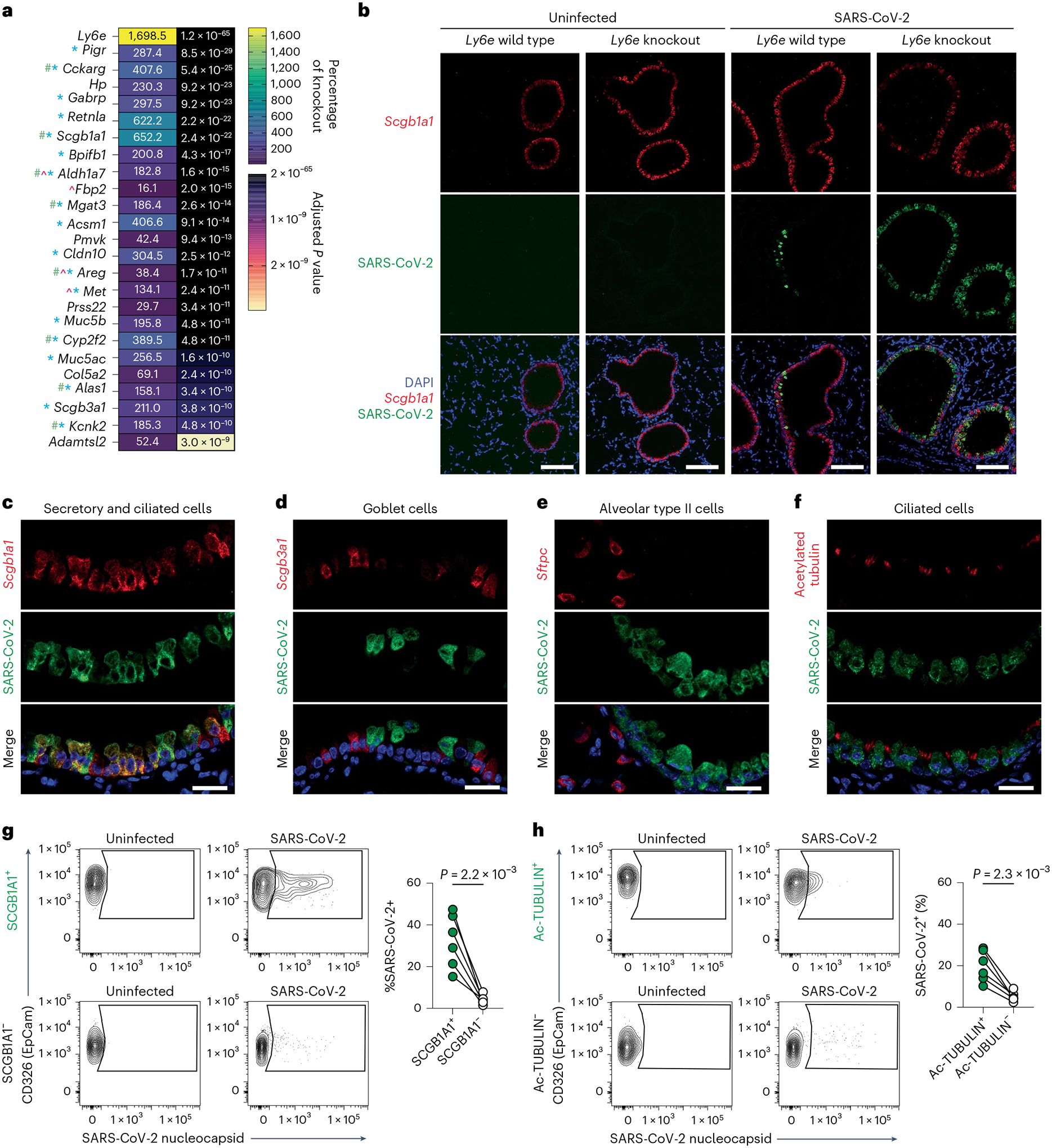 Fig. 4 |