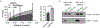 Extended Data Fig. 9 |