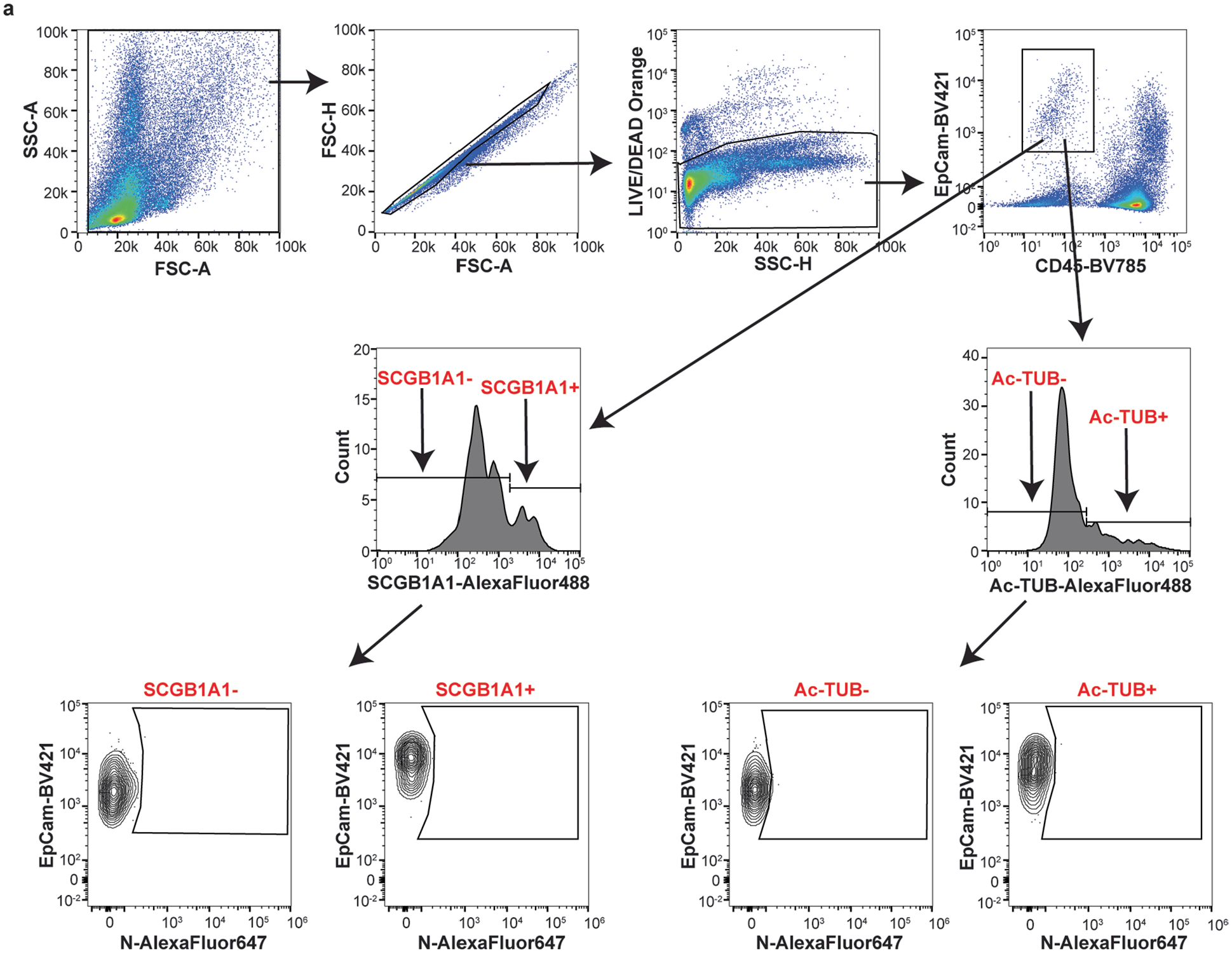 Extended Data Fig. 8 |