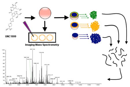 graphic file with name nihms853399u1.jpg