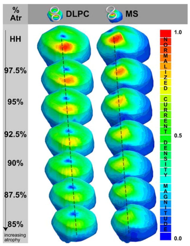 Fig. 2